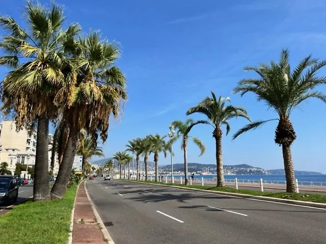 Jardin Sur La Promenade Des Anglais Nice Frankrike